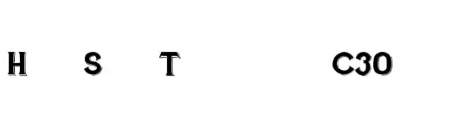 Hand Shop Typography C30_demo  नि: शुल्क फ़ॉन्ट्स डाउनलोड