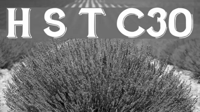 Hand Shop Typography C30_demo Font examples