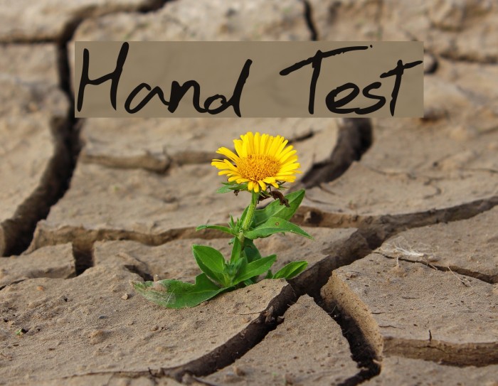 Hand Test Font examples