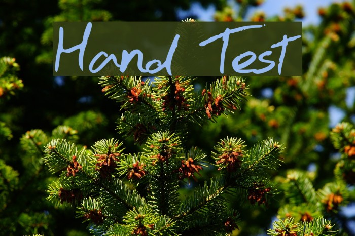 Hand Test Font examples
