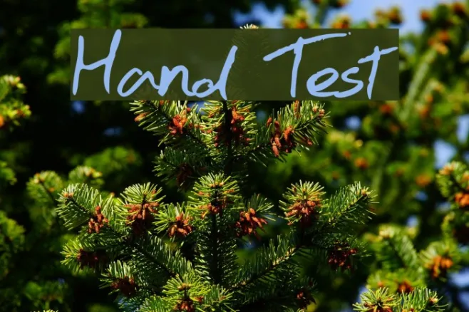 Hand Test Example 3