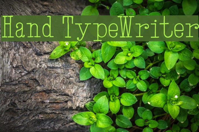 Hand TypeWriter Font examples