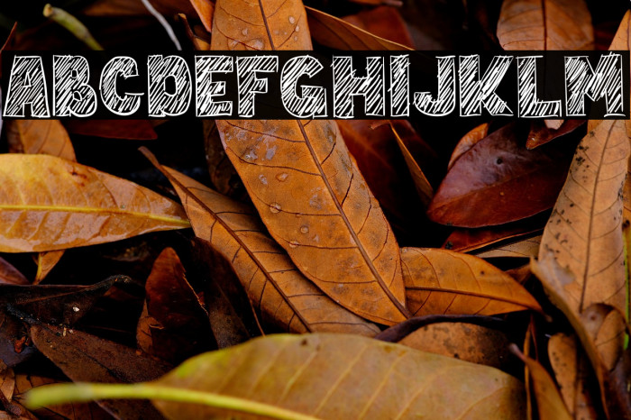 Hand Write Example 2