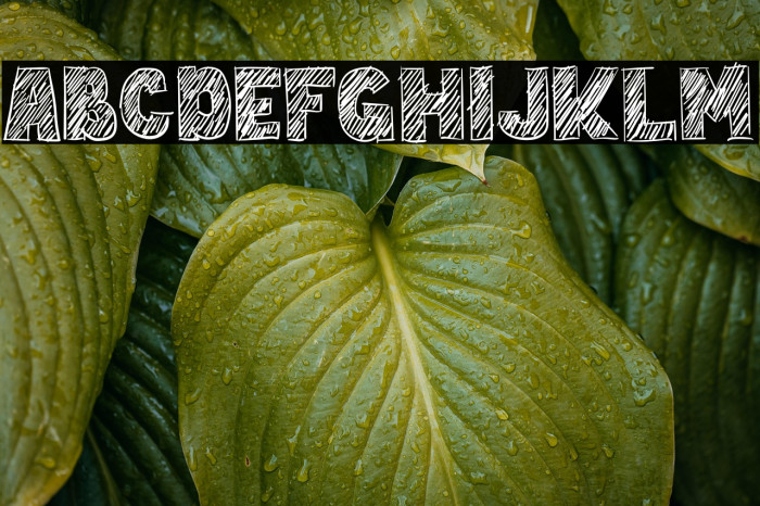 Hand Write Example 3