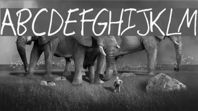 Hand Writing Font examples