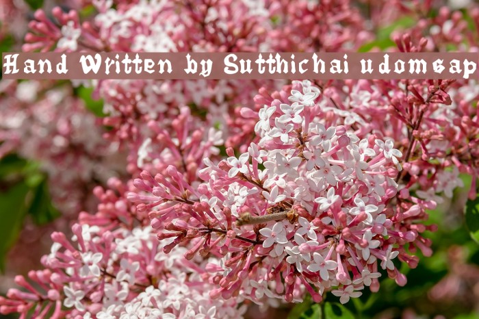 Hand Written by Sutthichai udomsap Example 1