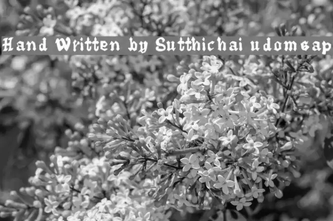 Hand Written by Sutthichai udomsap Font examples