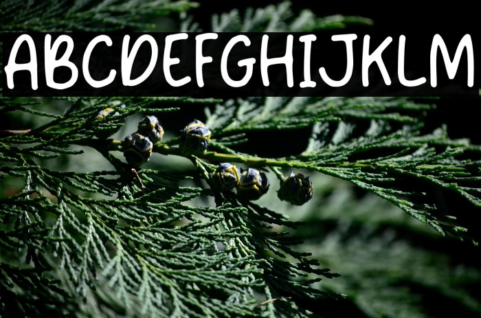 Hand of Jun Example 3