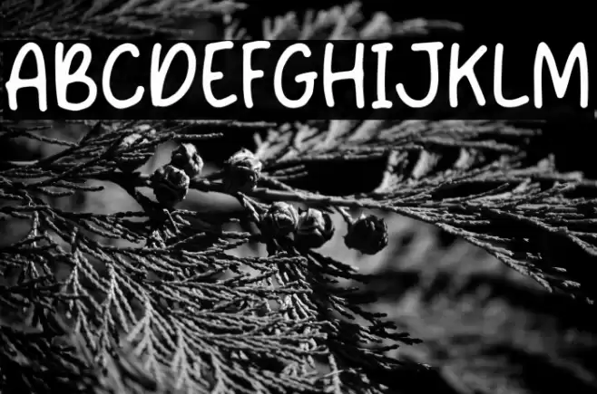 Hand of Jun Font examples