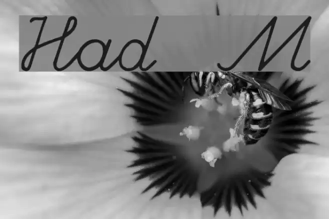 Hand writing Mutlu Font examples