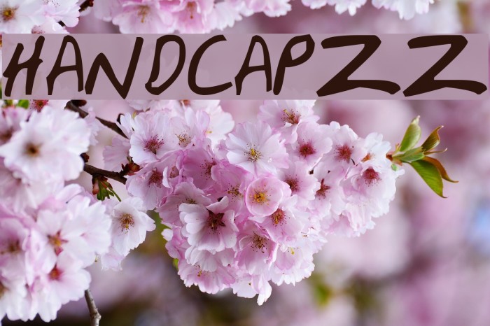 HandCapzz Шрифта examples