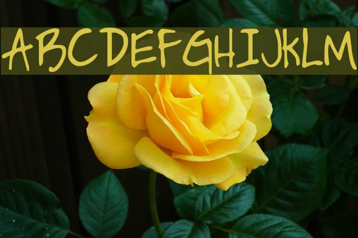 HandPrinting Шрифта examples