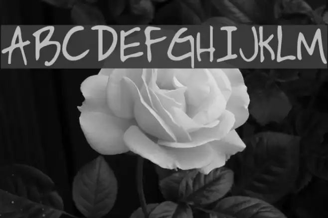 HandPrinting Шрифта examples