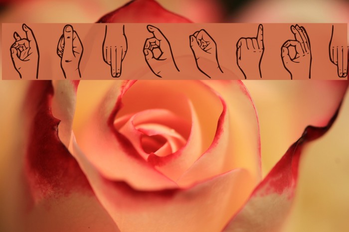 HandSign फ़ॉन्ट examples