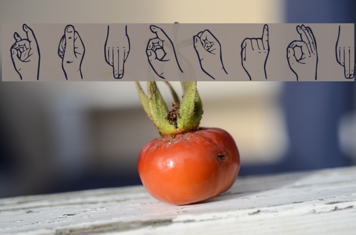 HandSign फ़ॉन्ट examples