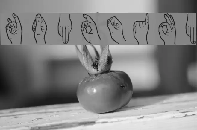 HandSign Fonte examples