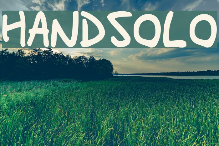 HandSolo Font examples