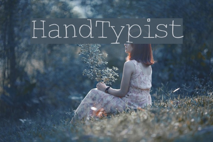 HandTypist Font examples