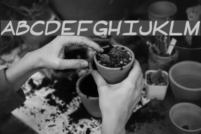 HandWrit Font examples