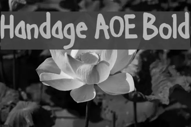 Handage AOE Bold Font examples