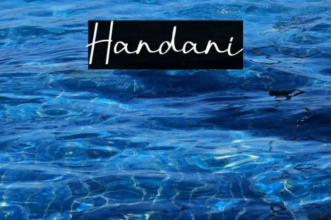 Handani Example 2