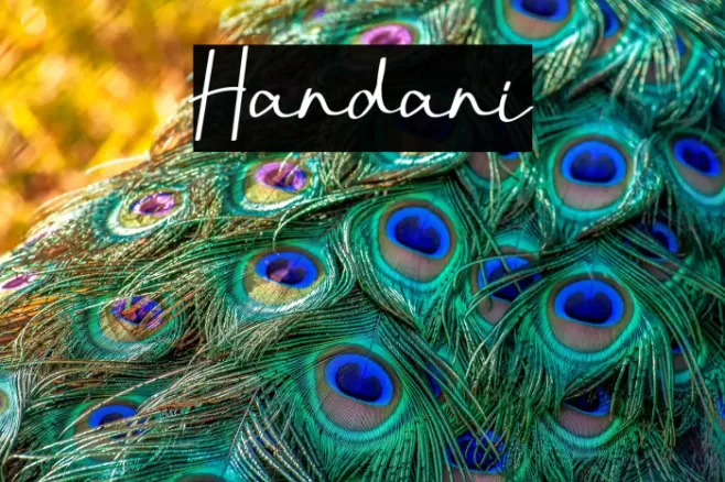 Handani Example 3