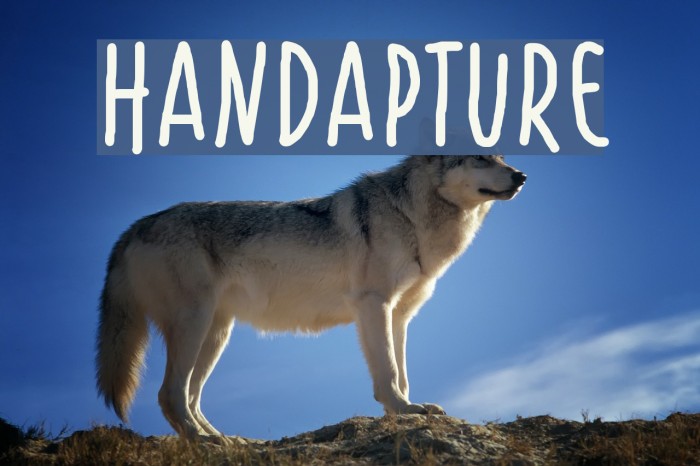 Handapture Font examples