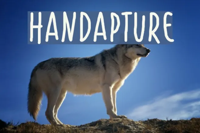 Handapture Example 2