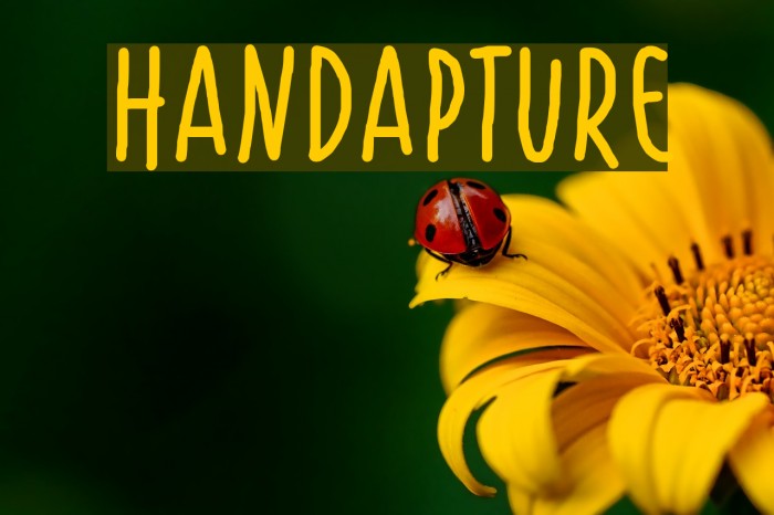 Handapture Font examples