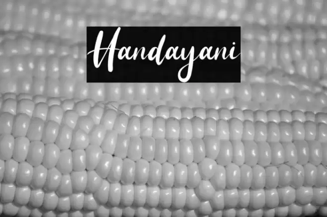 Handayani Font examples