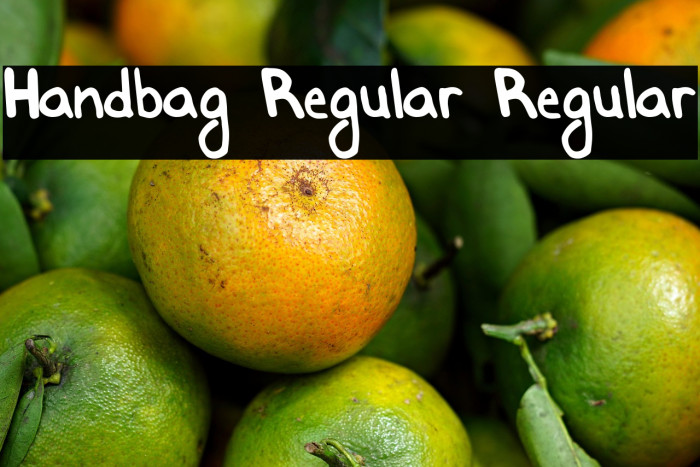 Handbag Regular Regular خط examples