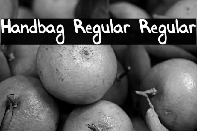 Handbag Regular Regular Caratteri examples
