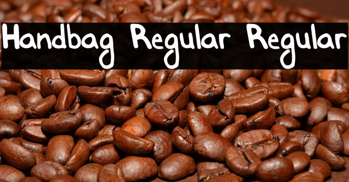 Handbag Regular Regular خط examples