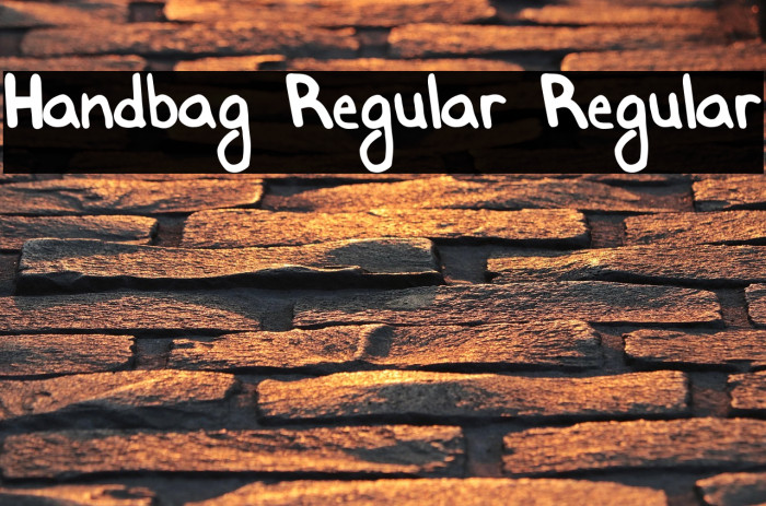 Handbag Regular Regular خط examples
