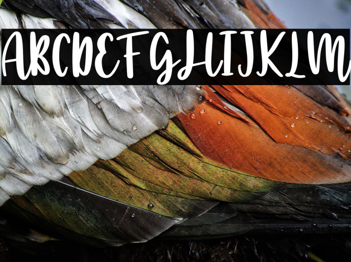 Handcraft Script Example 3