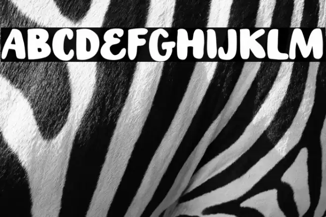 Handcrit Polices examples