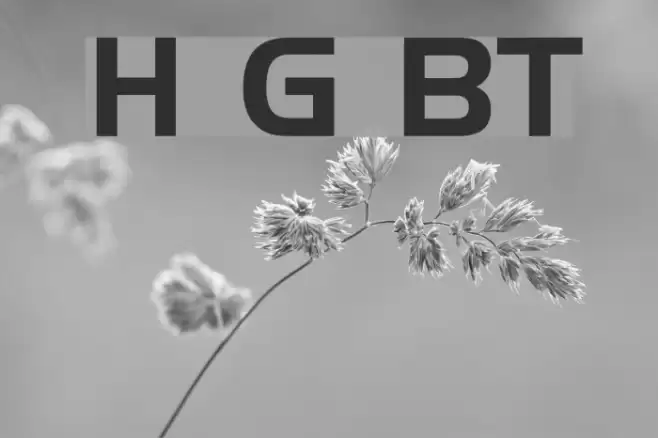 Handel Gothic BT Fonte examples