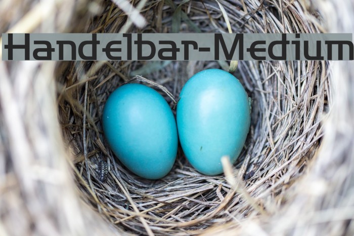 Handelbar-Medium フォント examples