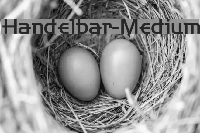 Handelbar-Medium フォント examples