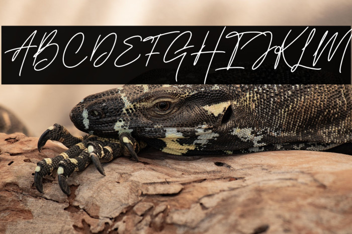 Handestonie Example 1