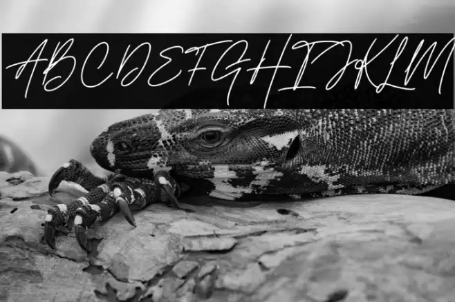 Handestonie Font examples