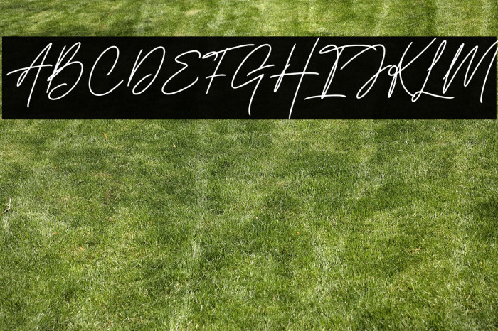 Handestonie Example 3