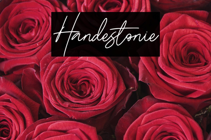 Handestonie Example 3