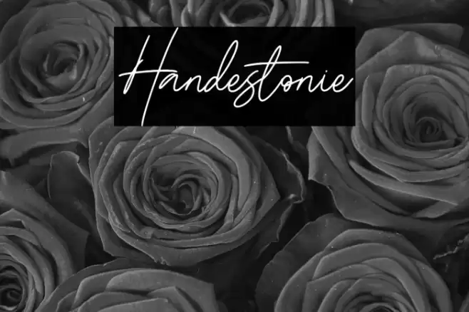 Handestonie Font examples