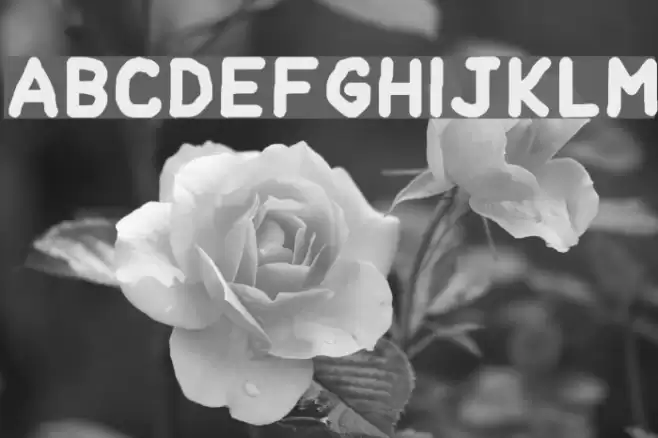 Handform Font examples