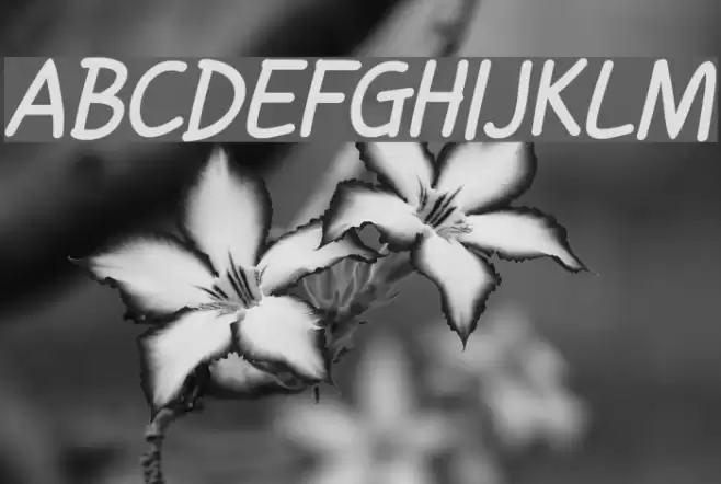 Handgley Bold Italic Font examples