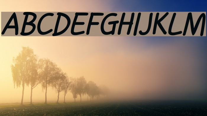 Handgley Bold Italic Example 3