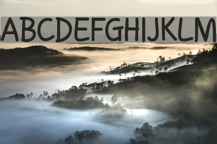 Handgley Bold Font examples