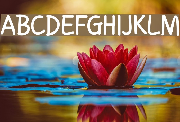 Handgley Bold Font examples