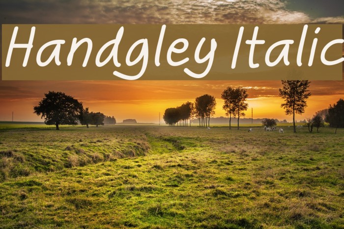 Handgley Italic Font examples